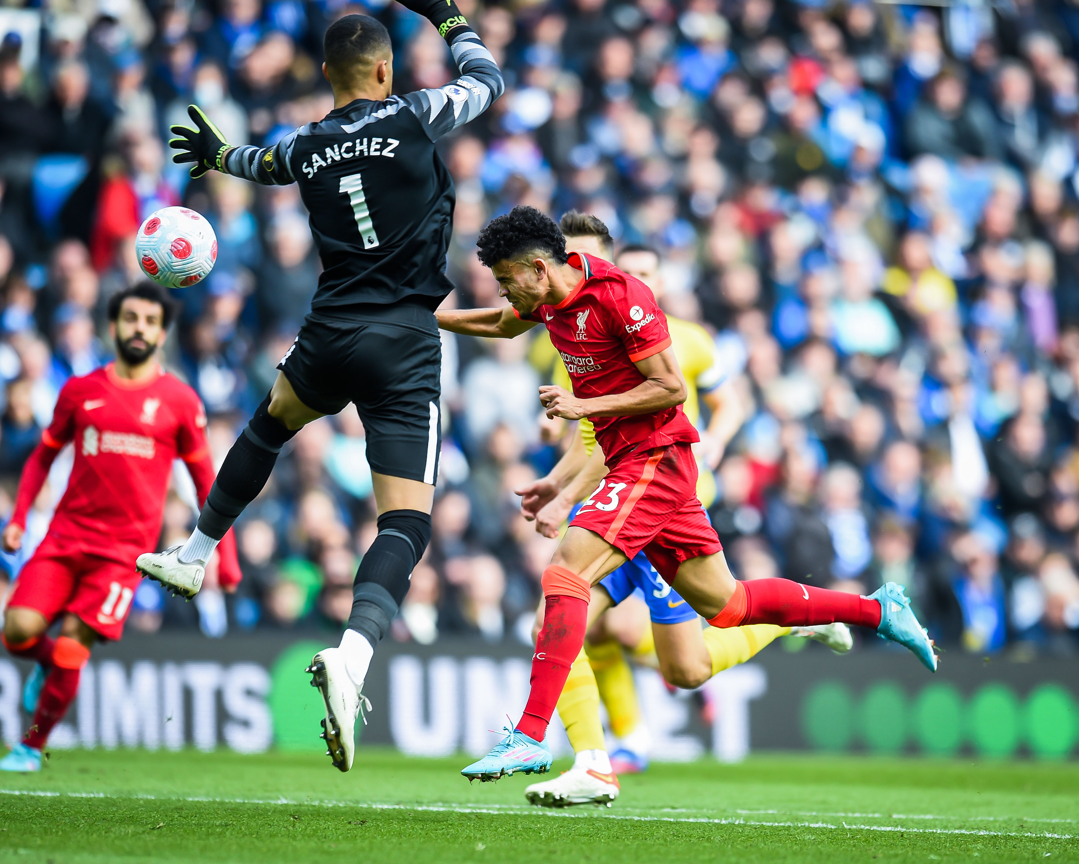 法兰克福队最新消息 法兰克福队最新消息